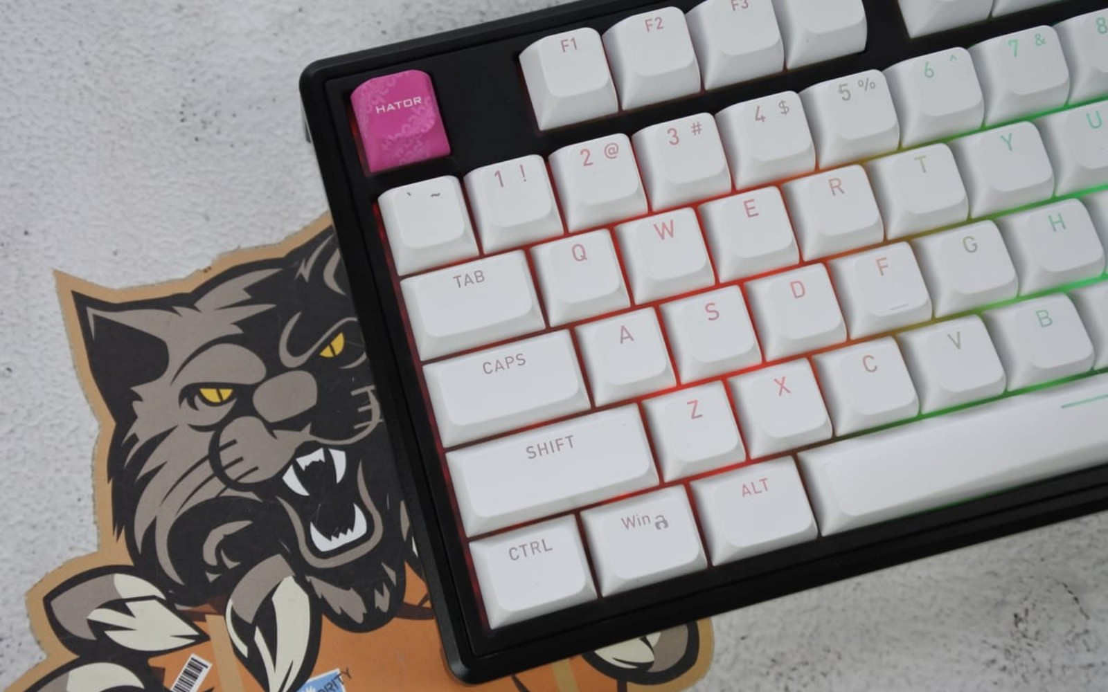 user-41230 main blog image