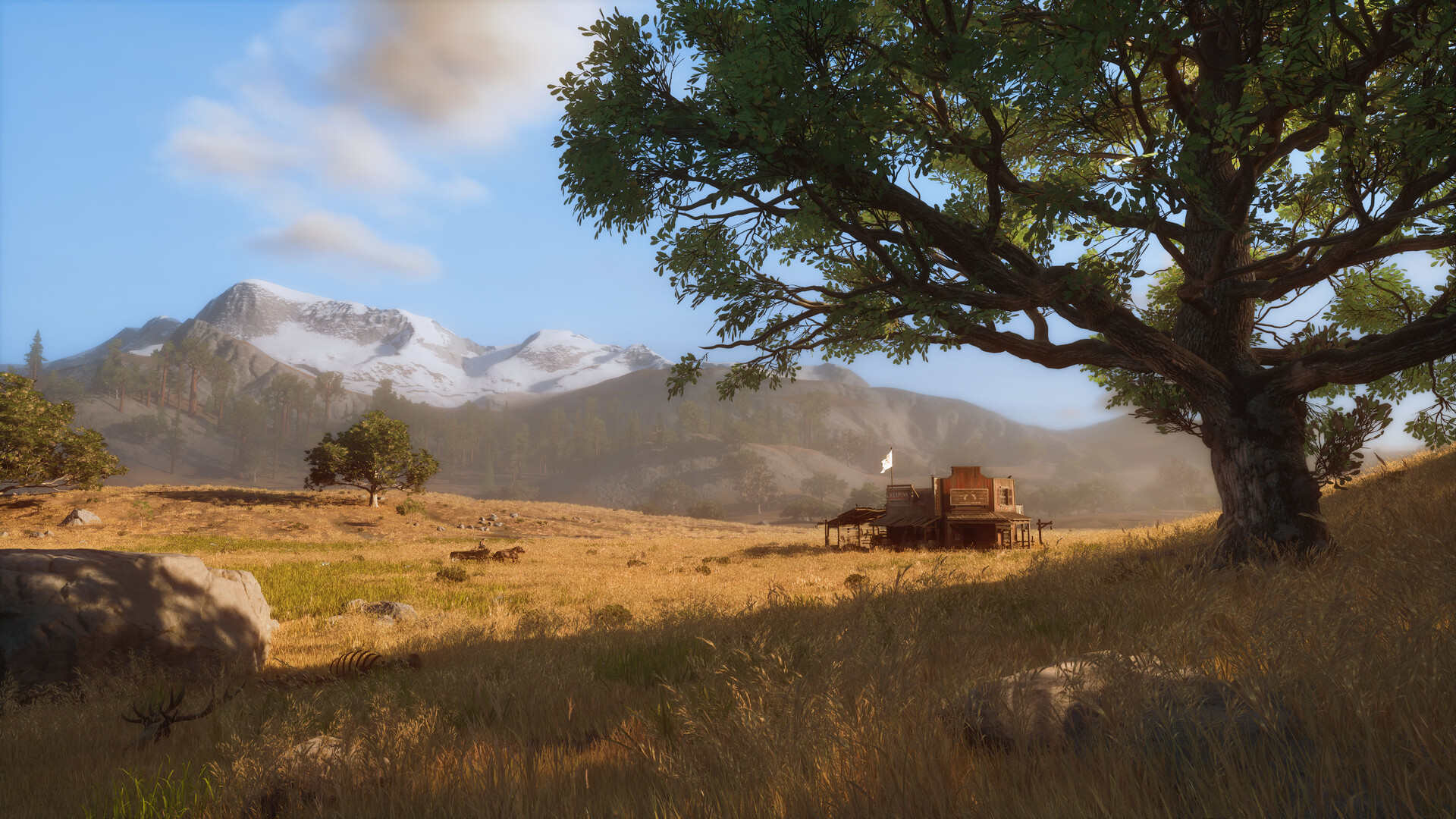 The Legend of California #7