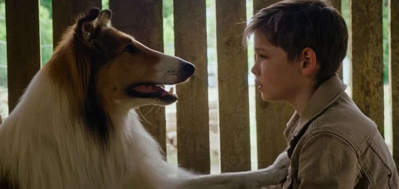 Lassie, wróć! (2020) – recenzja filmu [Kino Świat]. Tym razem w niemieckim klimacie