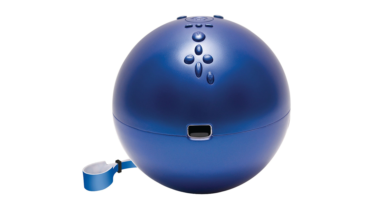 Wii Bowling Ball