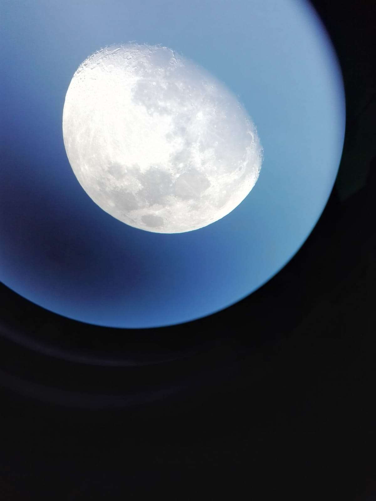 Do or Die Wrestling już 14 stycznia