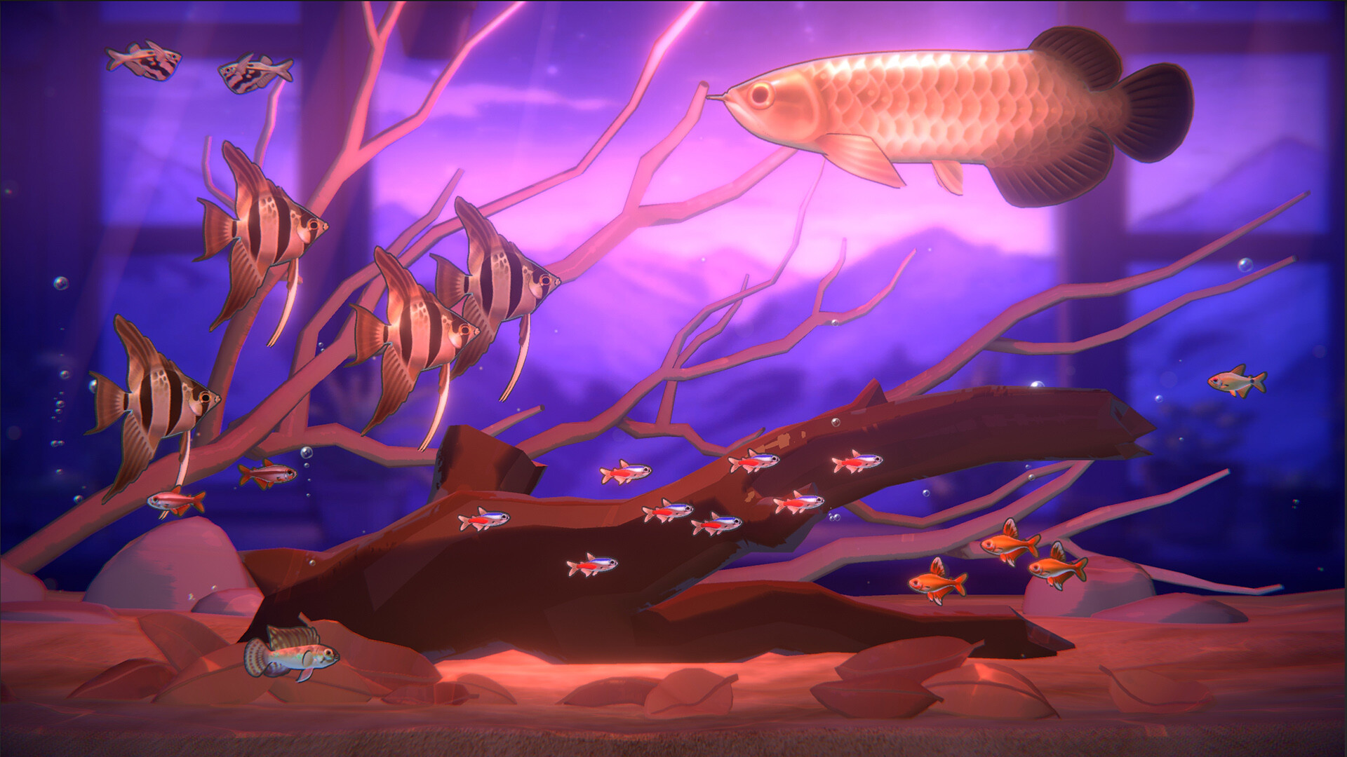 With Me: Aquatic Time #1
