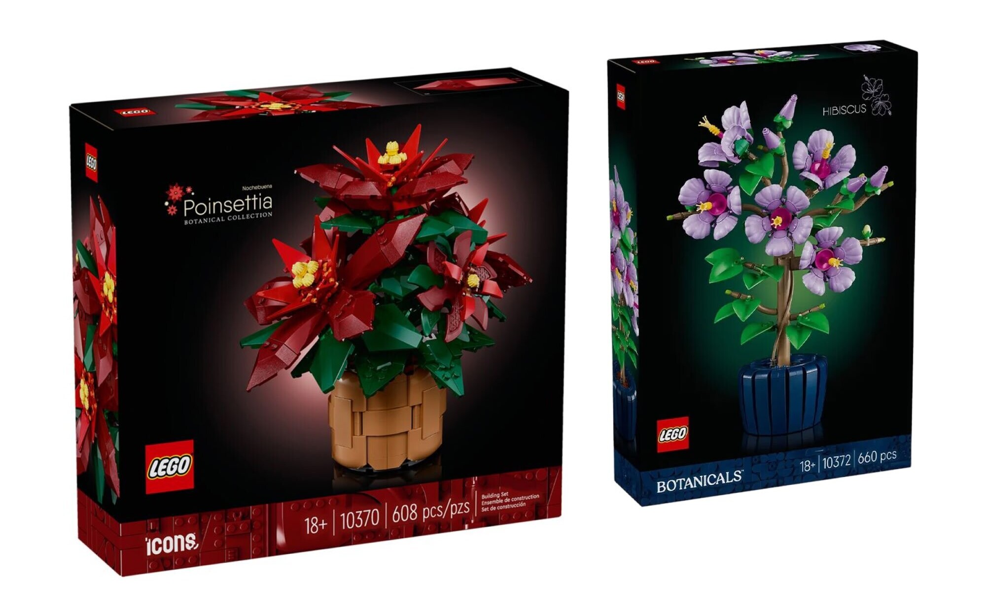 WYŚMIENITY zestaw LEGO na Walentynki - kwiaty Gwiazda Betlejemska i Hibiskus za 299 zł (rabat 200 zł)