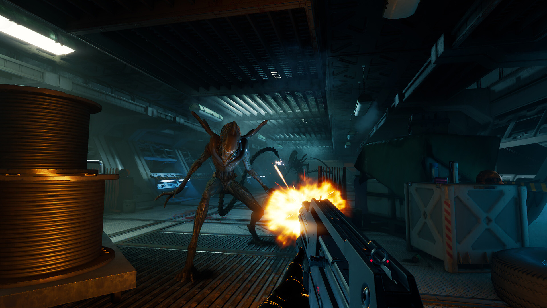 Alien: Rogue Incursion Evolved Edition #7
