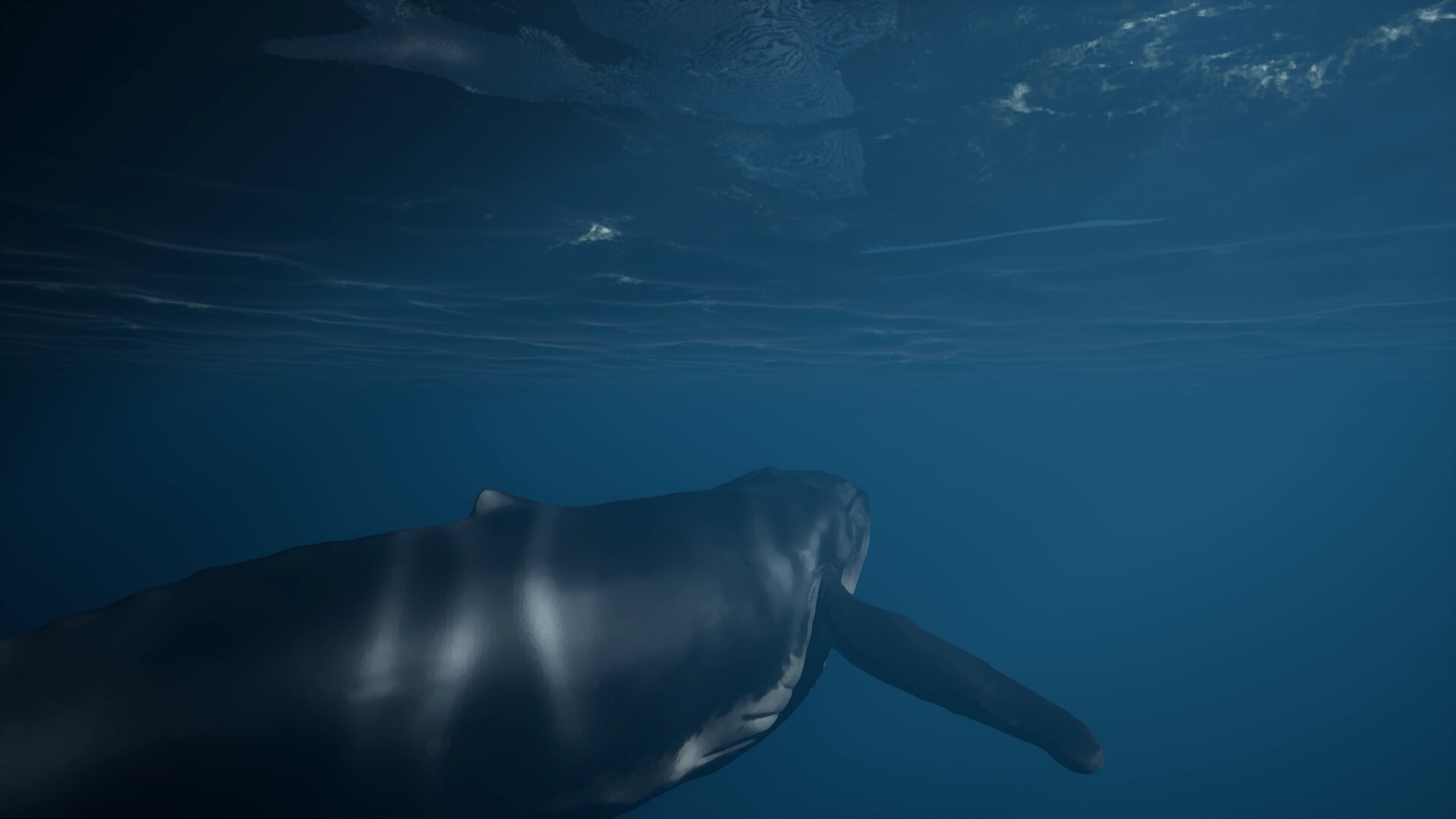 Whale Fall #6