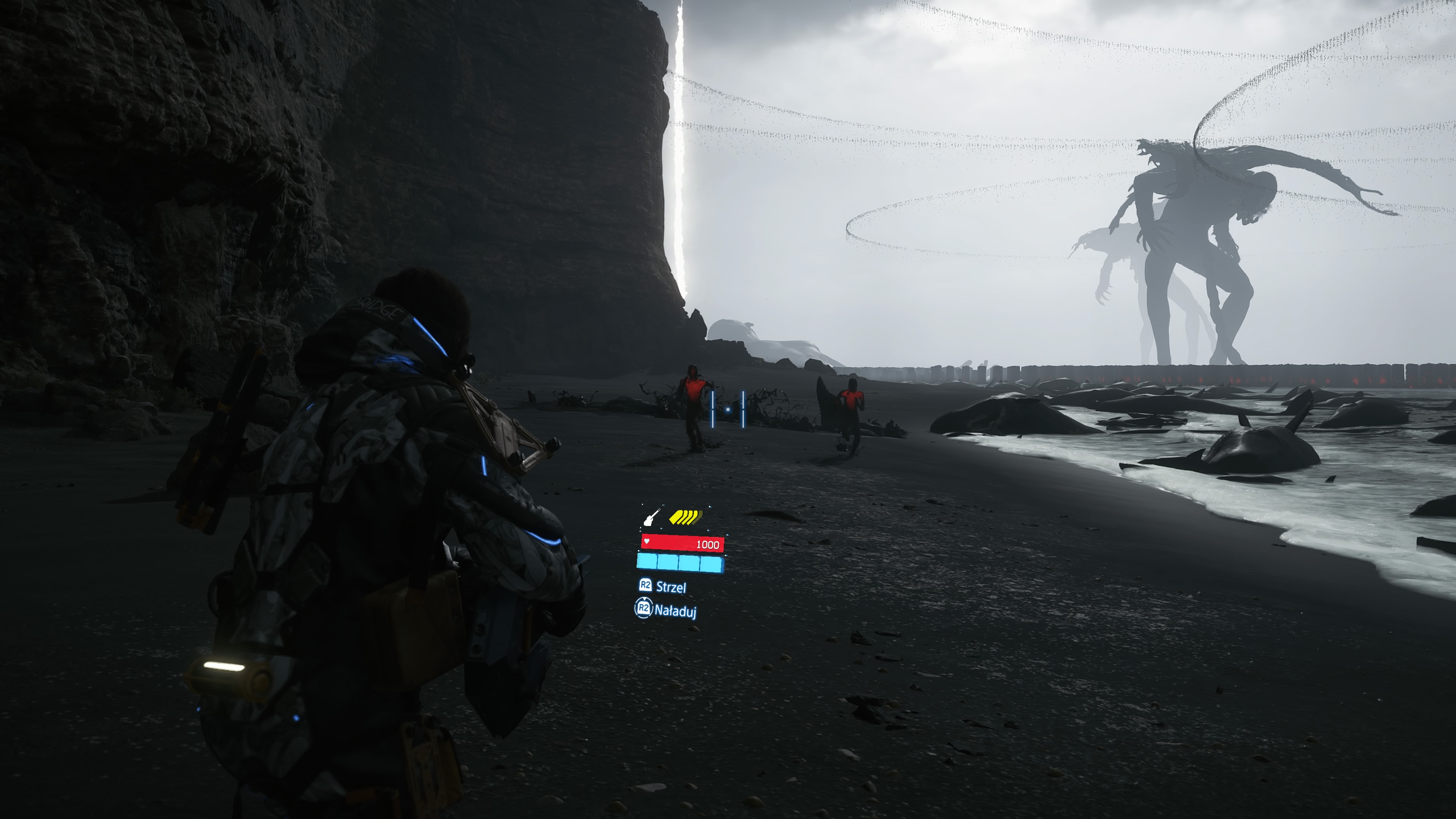 Death Stranding 2 - Zlecenie 48: Plaża Amelie, ocal Tomorrow, zapobiegnij Ostatniemu Wdarciu, Higgs