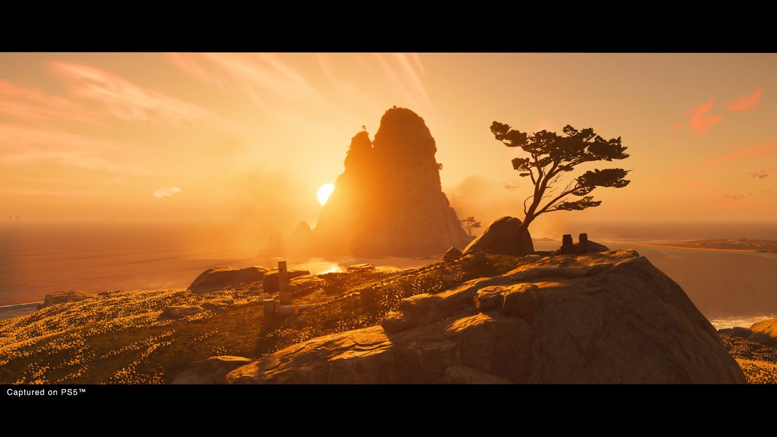 Ghost of Tsushima Director's Cut PS5 #1