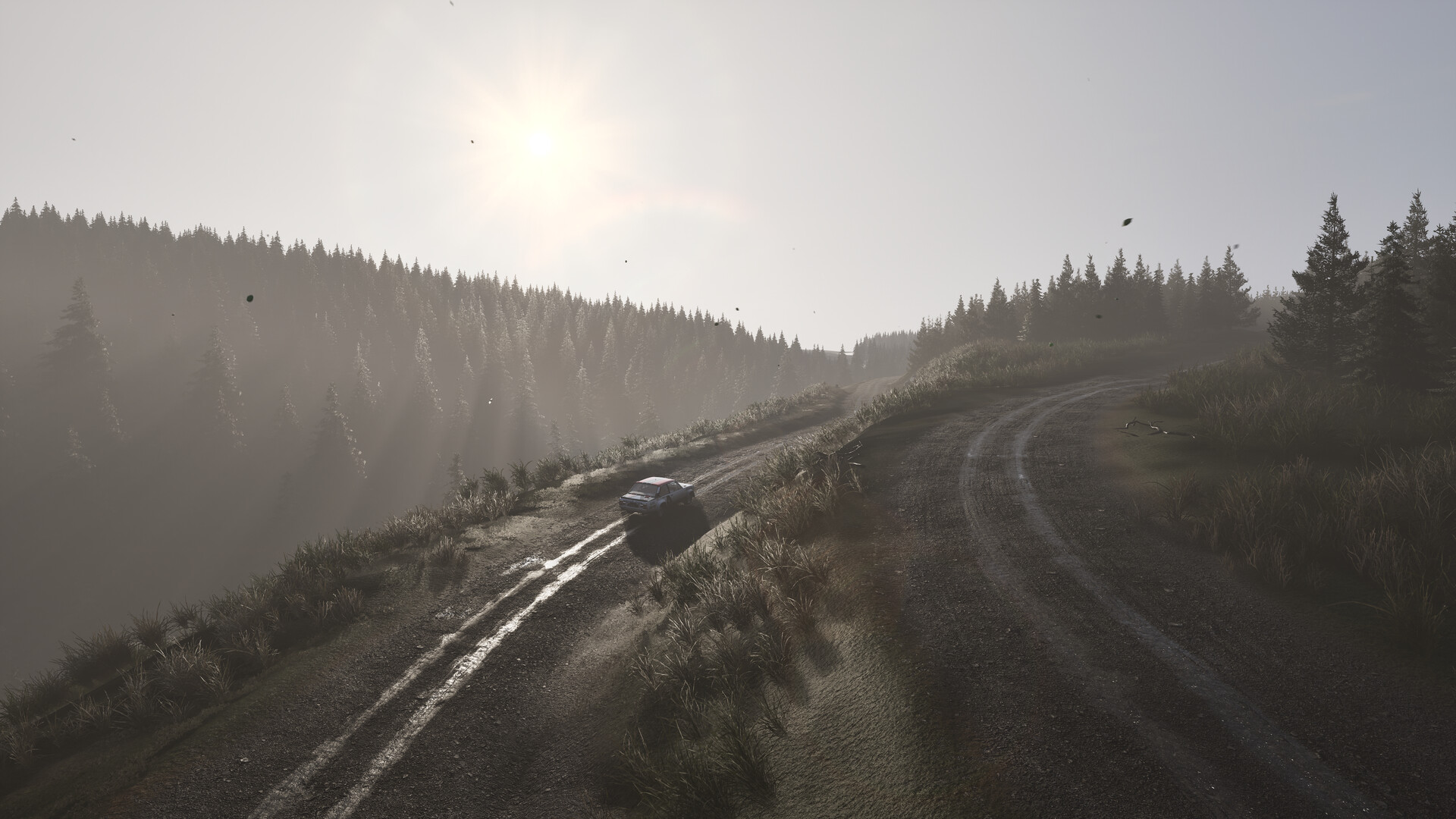 Assetto Corsa Rally #8