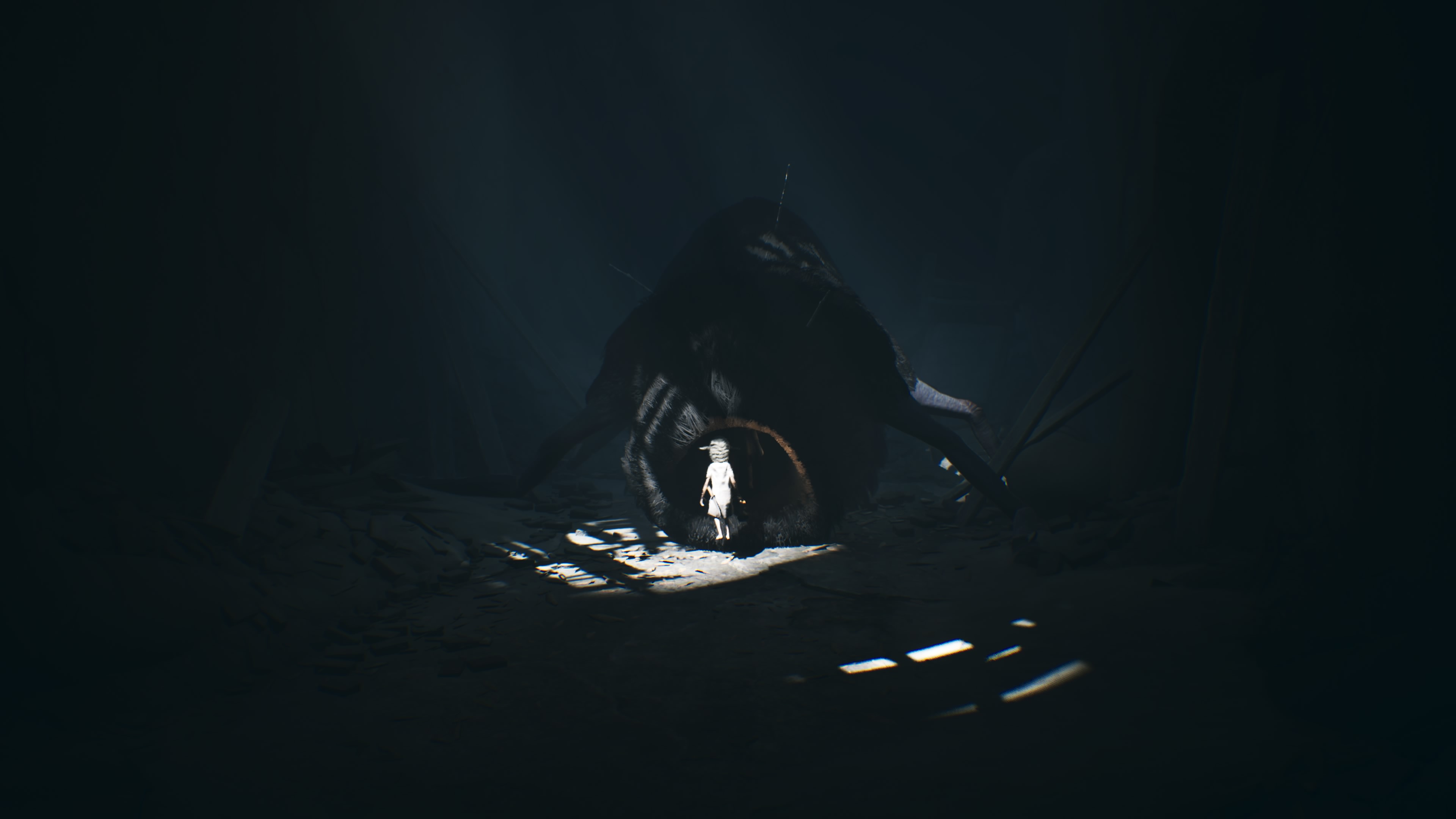 Reanimal - Akt 2: W czarnej dziurze, opis przejścia, znajdźki: Piaskowe miasto, skały, pająk