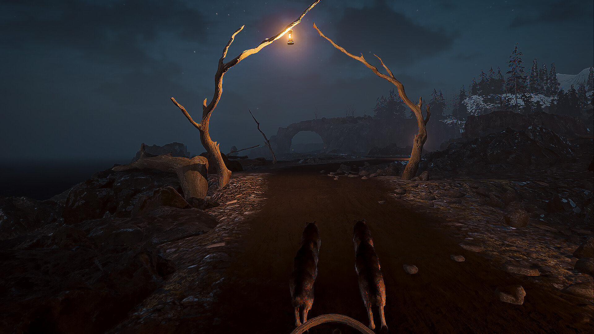 Alaska Gold Fever #14