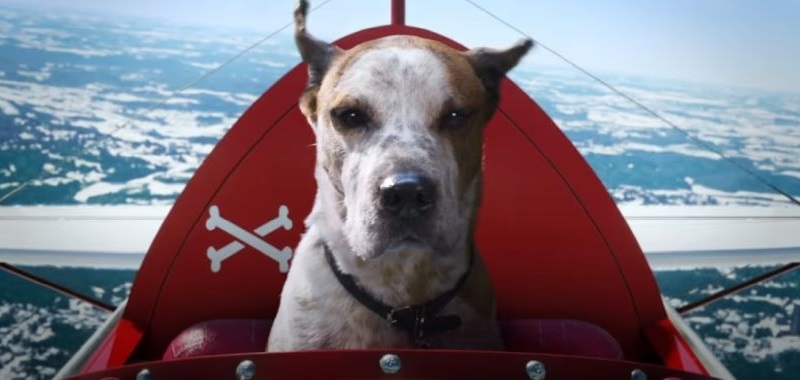 Microsoft pokazuje świąteczną reklamę pełną gier i psów
