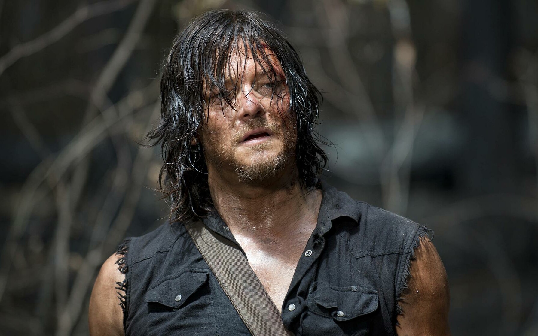 The Walking Dead: Daryl Dixon