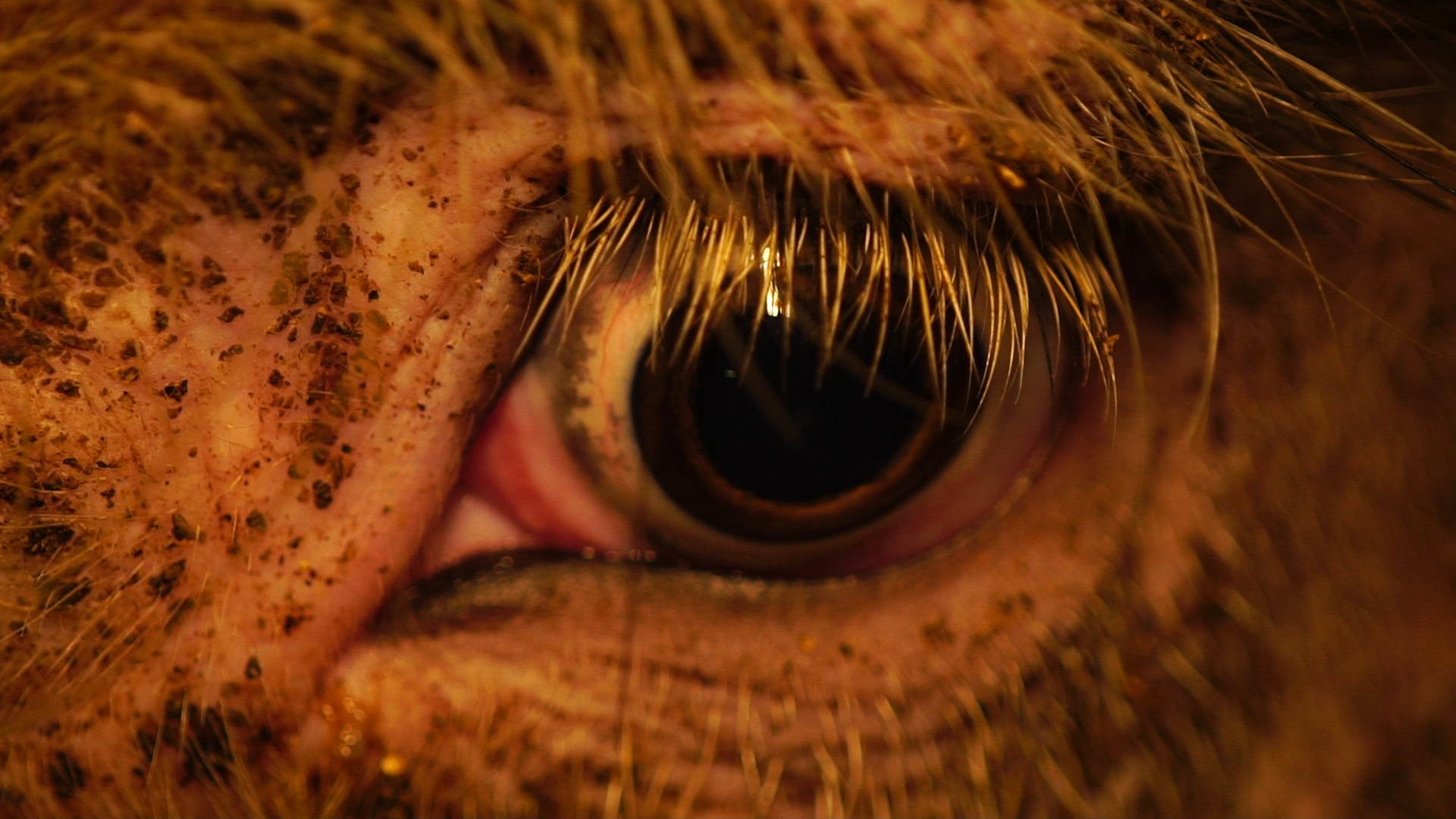 Army of Two: The Devil&#039;s Cartel w marcu 2013