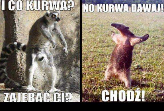 Impreza z Mario jeszcze na Wii