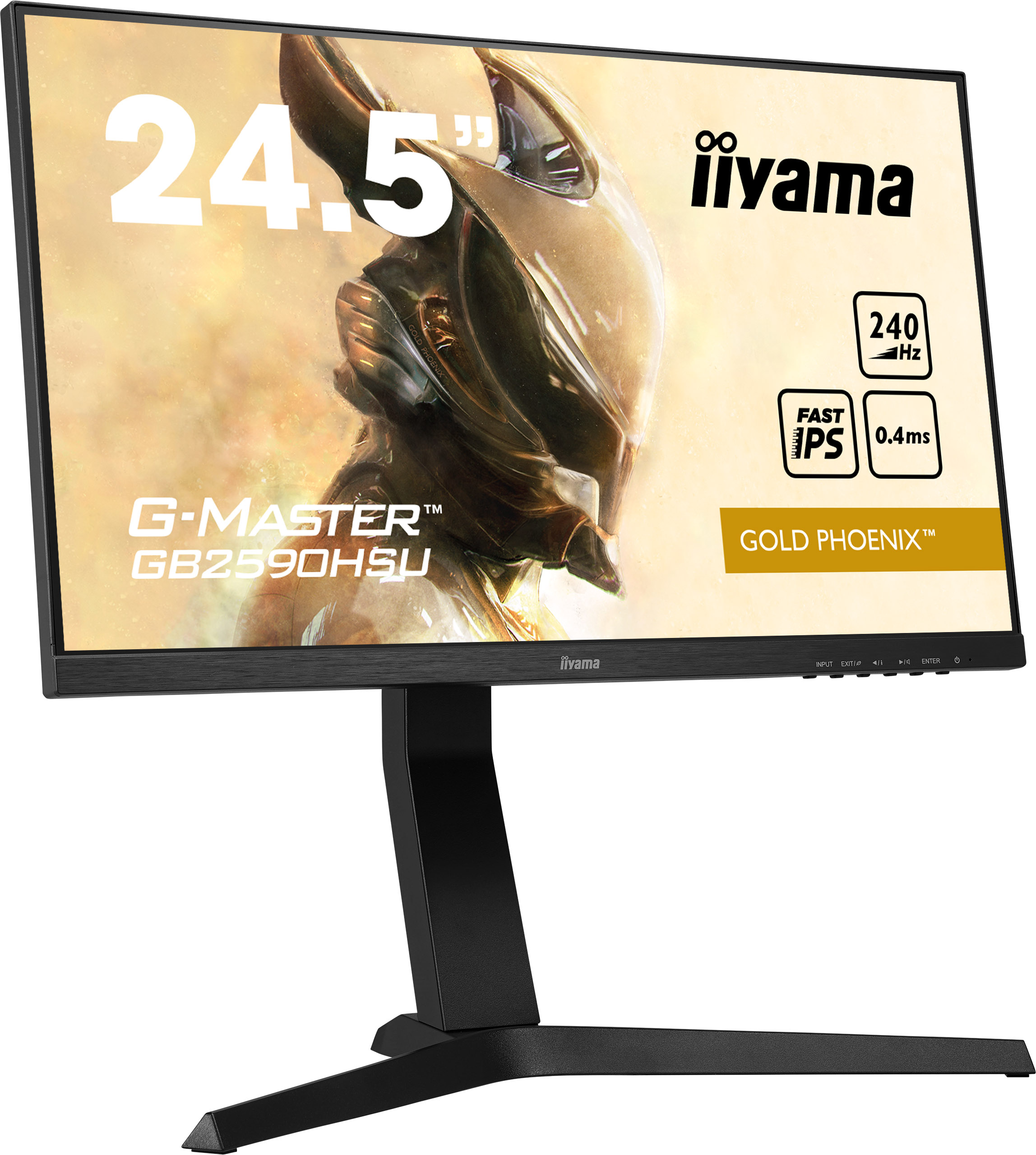Iiyama_2