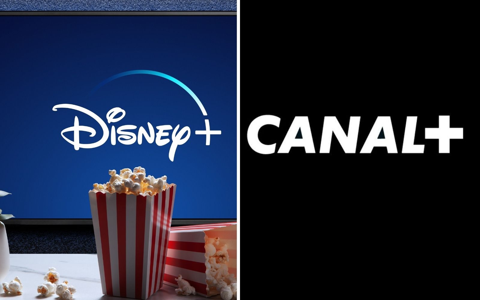 Disney+ przejął hit Canal+! Wielka niespodzianka dla widzów - zobaczycie 12 odcinków