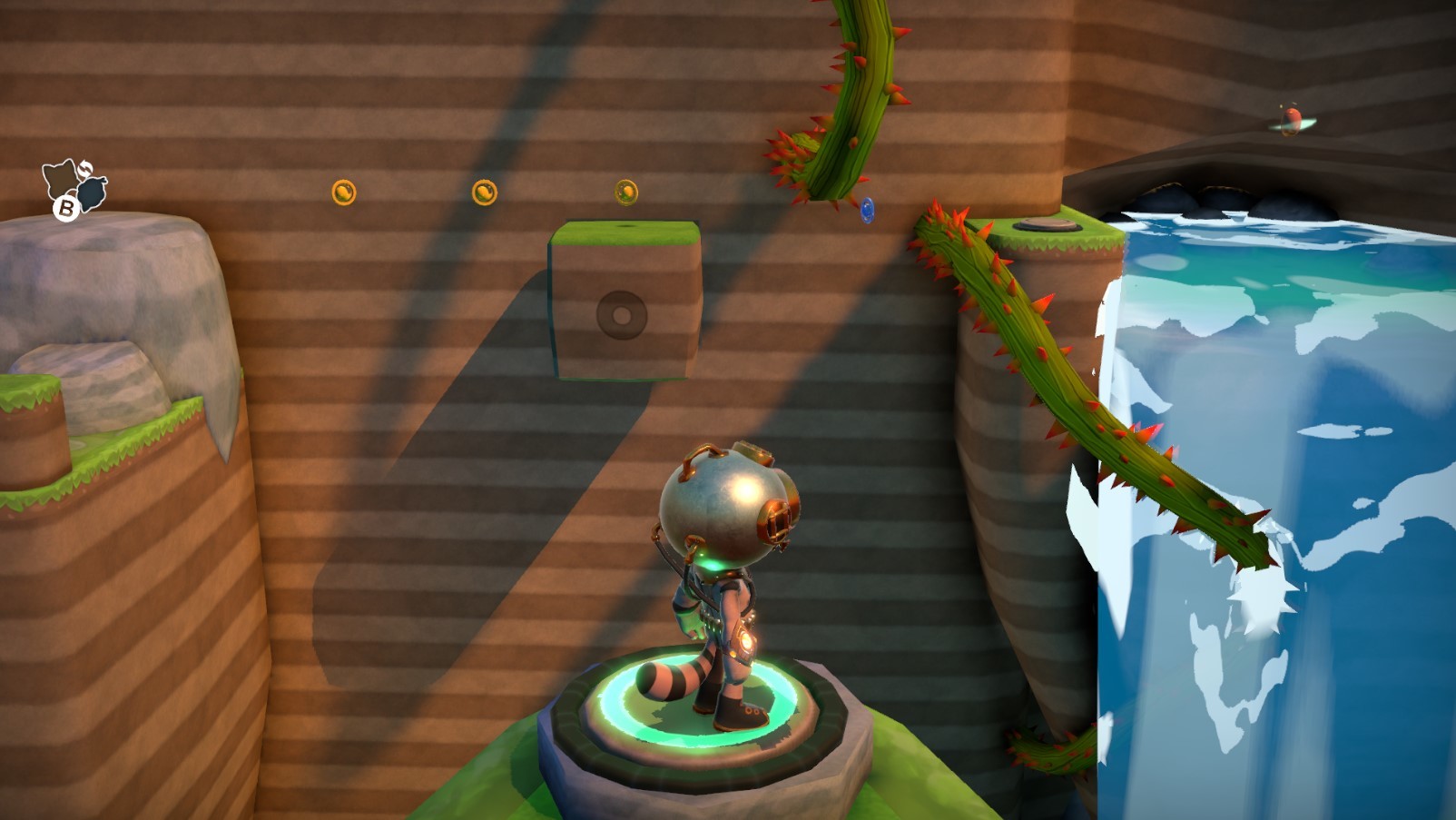 Raccoo Venture #6