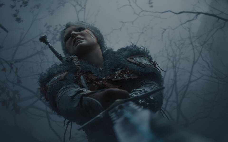 Wiedźmin 4 / The Witcher 4