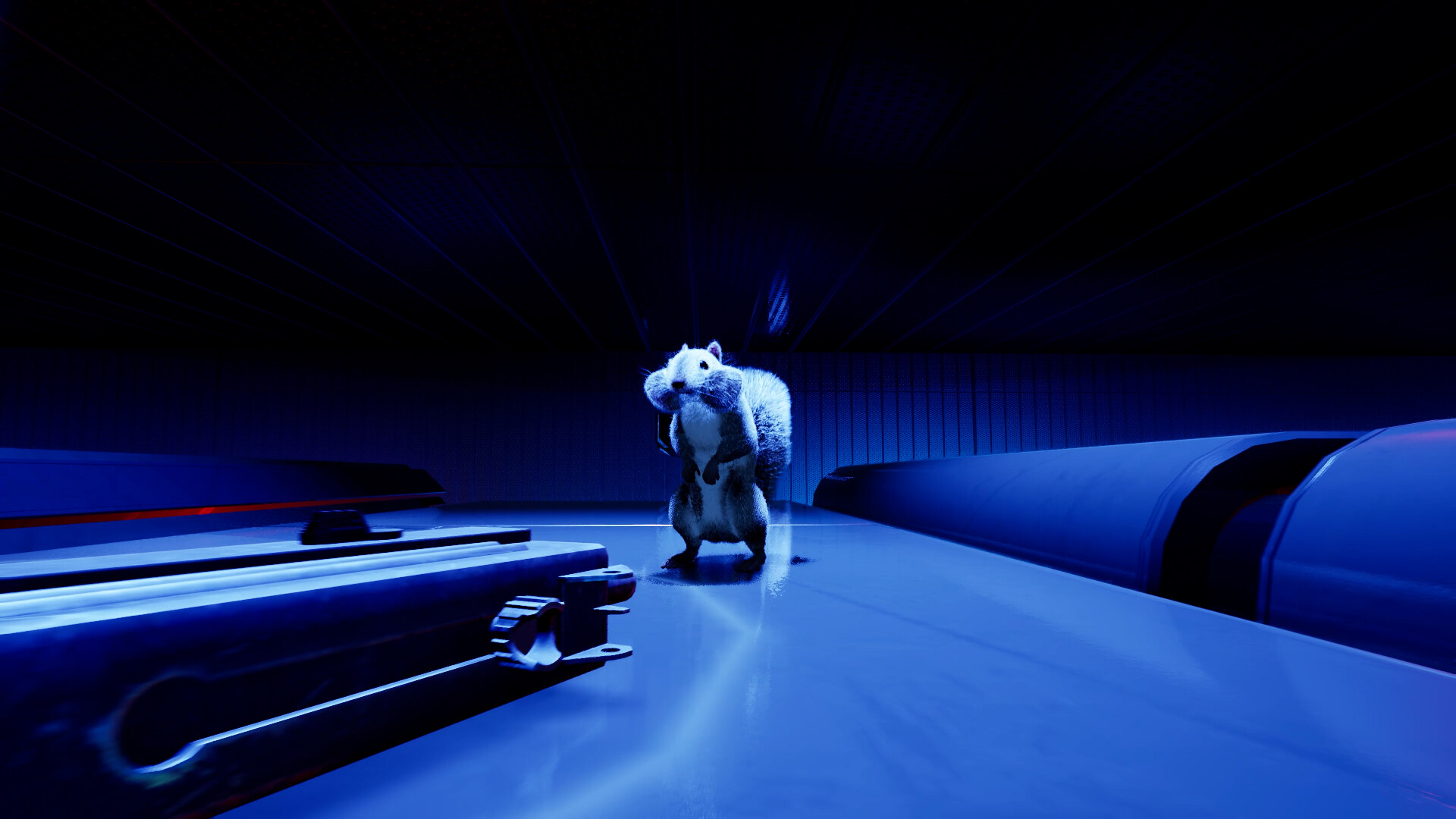 Squirrel with a Gun #13