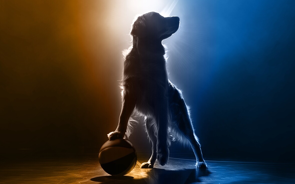 Air Bud, Air Bud Returns