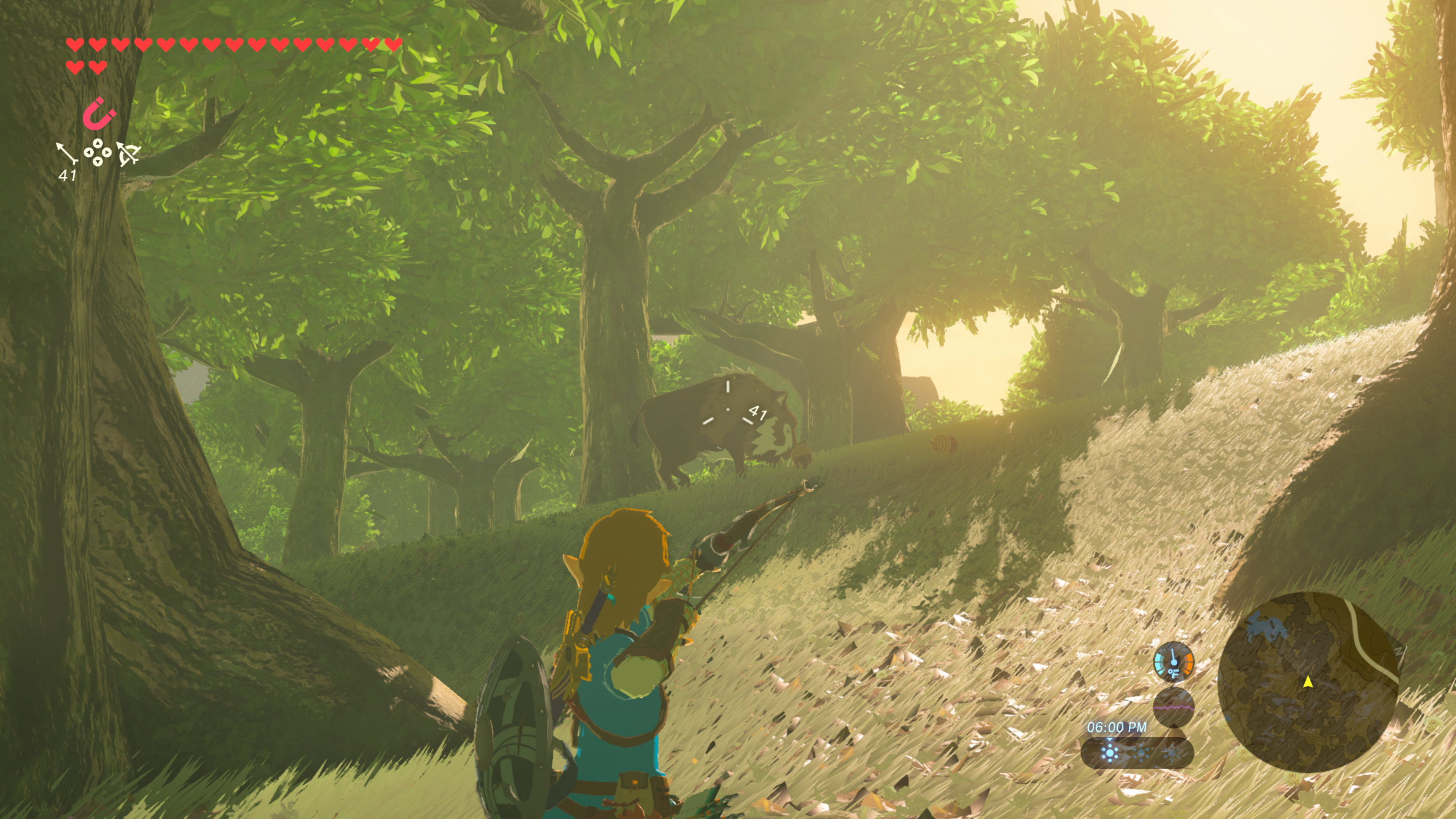 The Legend of Zelda: Breath of the Wild Switch 2 Edition - walka ze zwierzyną