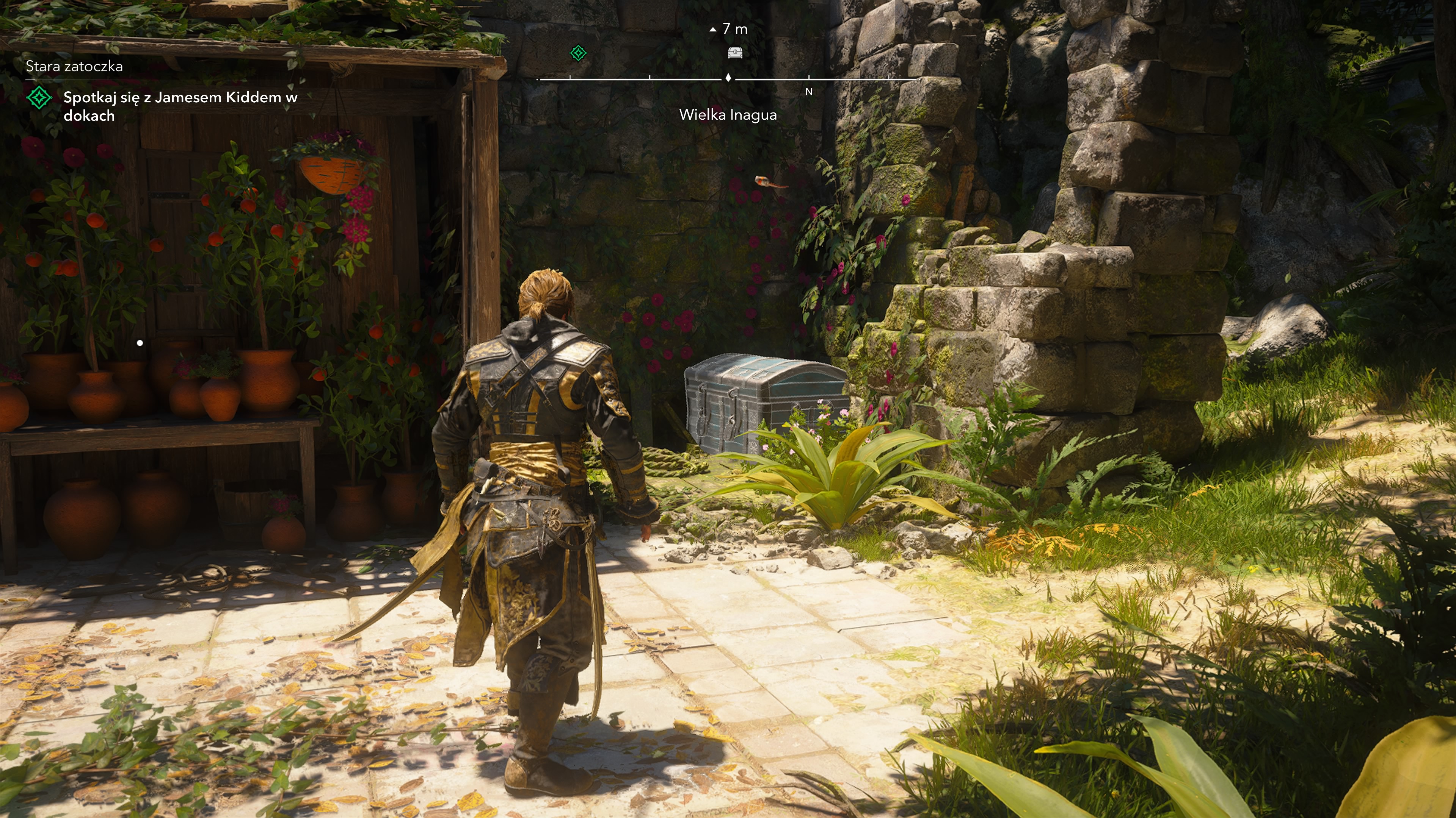 Assassin's Creed Black Flag Resynced - Sekrety na Wielka Inagua