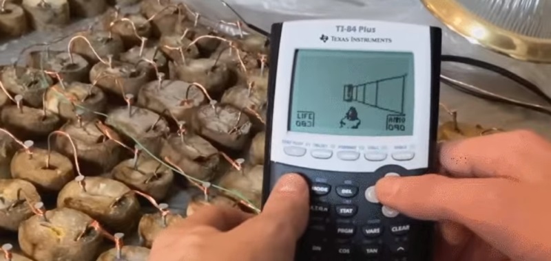 Doom został uruchomiony na kalkulatorze zasilanym przez ziemniaki