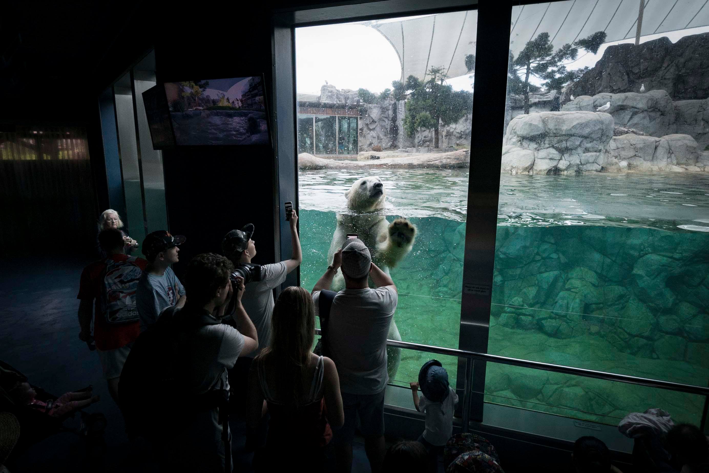 Army of Two: The Devil&#039;s Cartel w marcu 2013