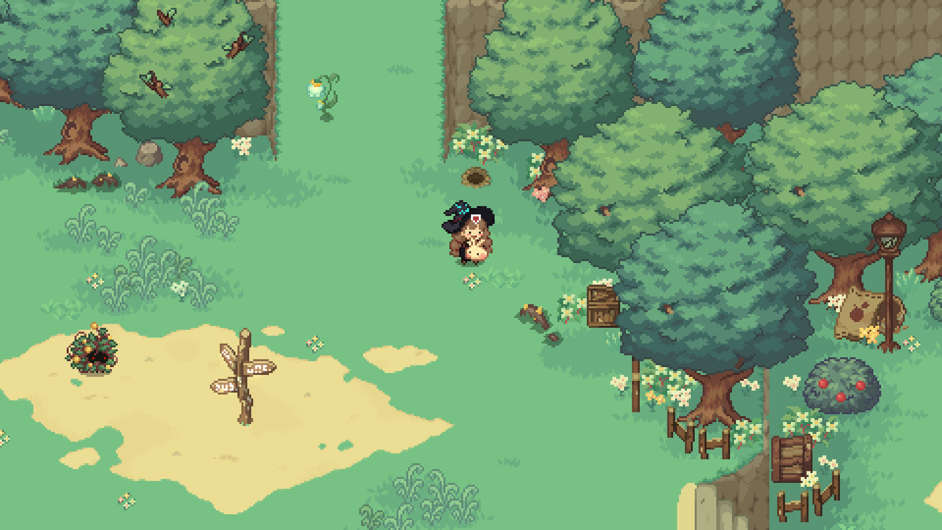 Little Witch in the Woods #11