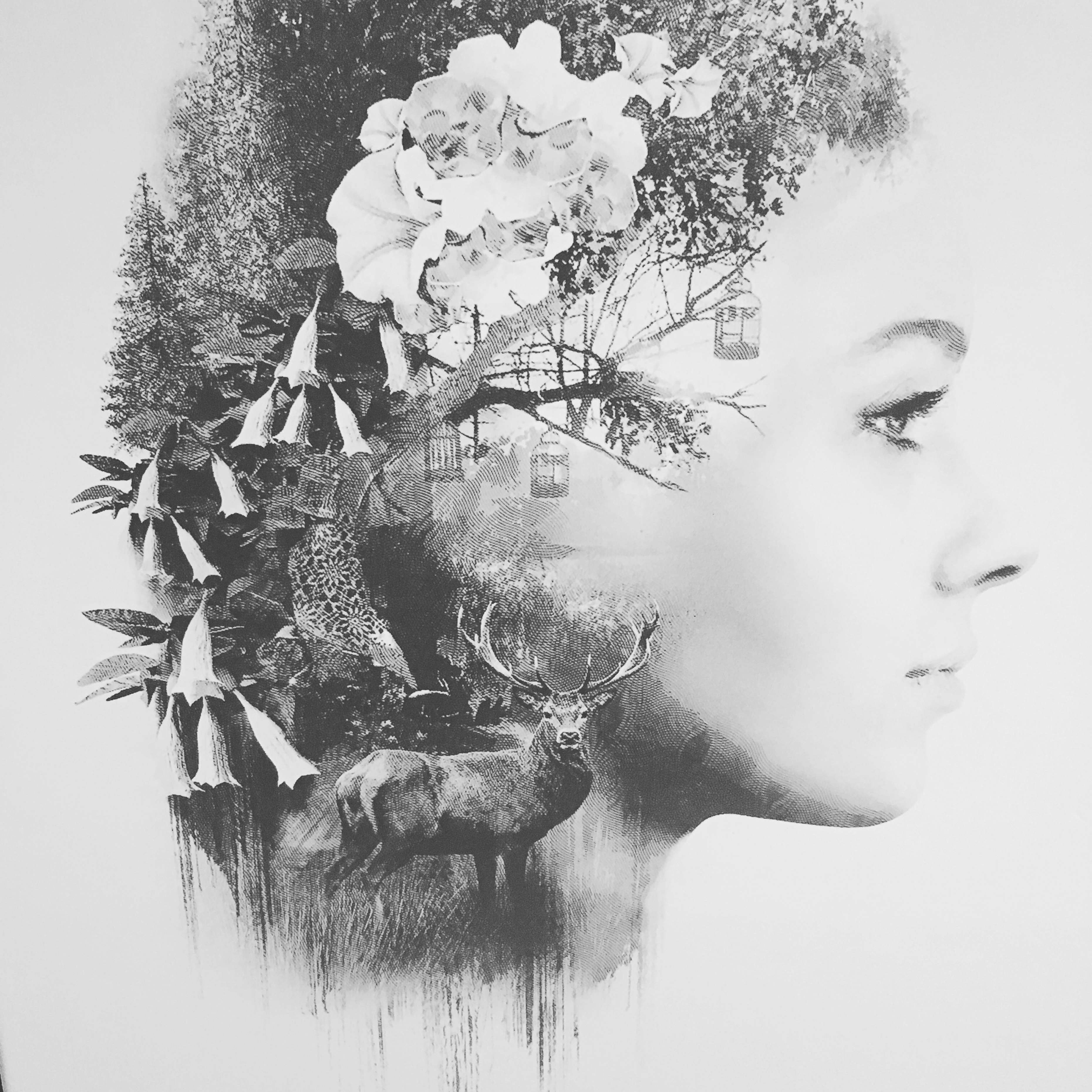 Far Cry 5 The Father Edycja Kolekcjonerska - unboxing