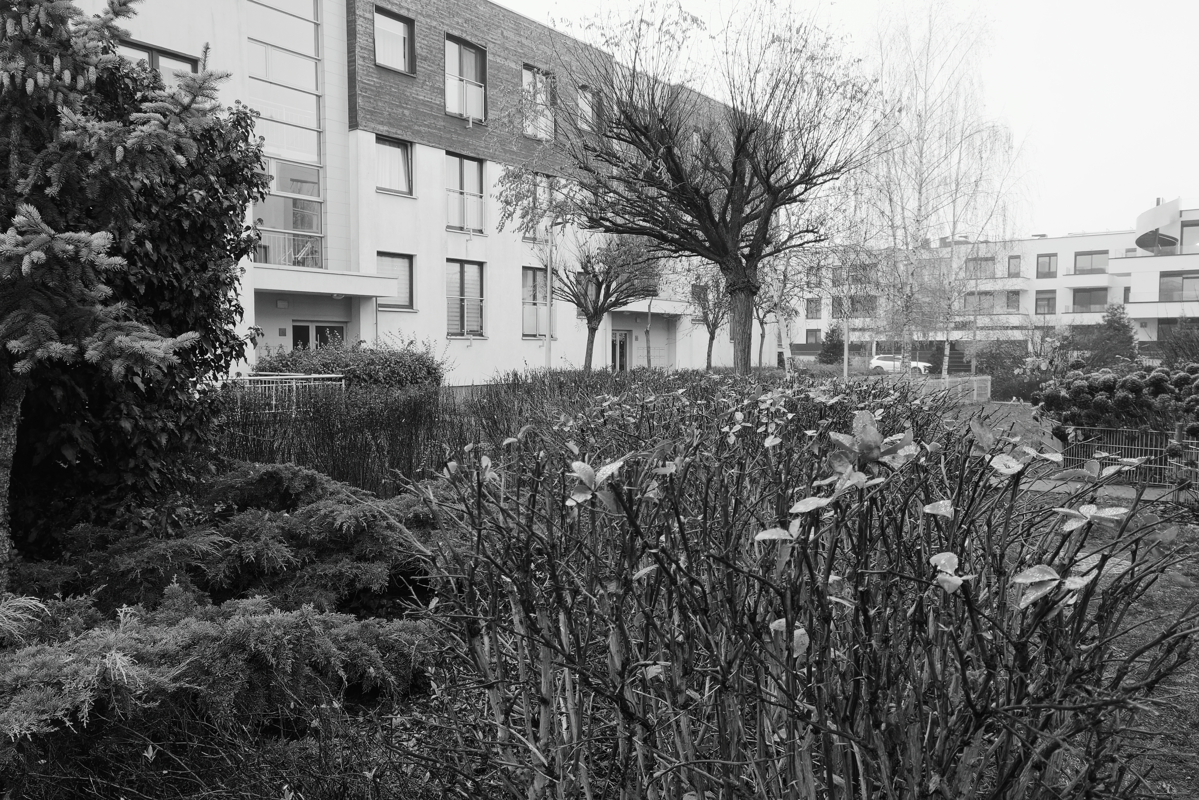 Tryb RicohGT w realme GT8 Pro