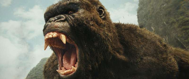 Kong: Wyspa Czaszki – recenzja filmu