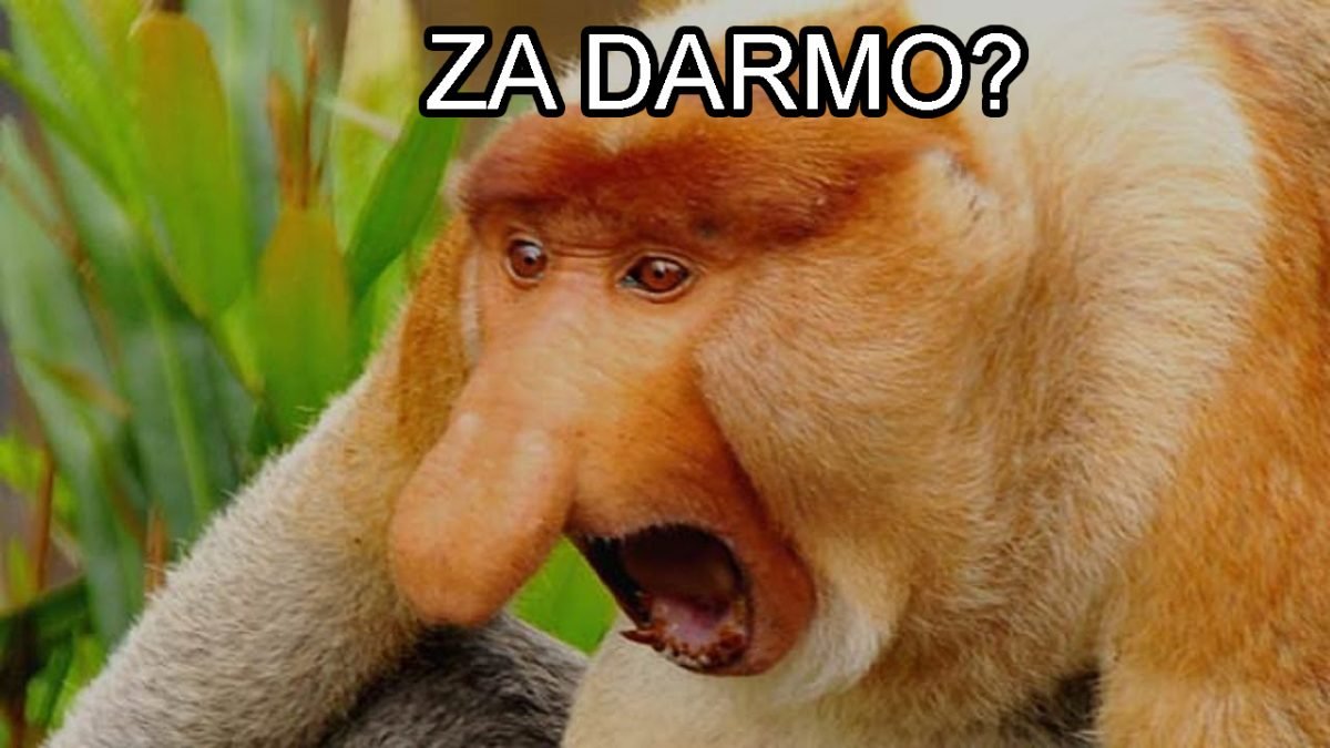 Mem z nosaczem - Za darmo?