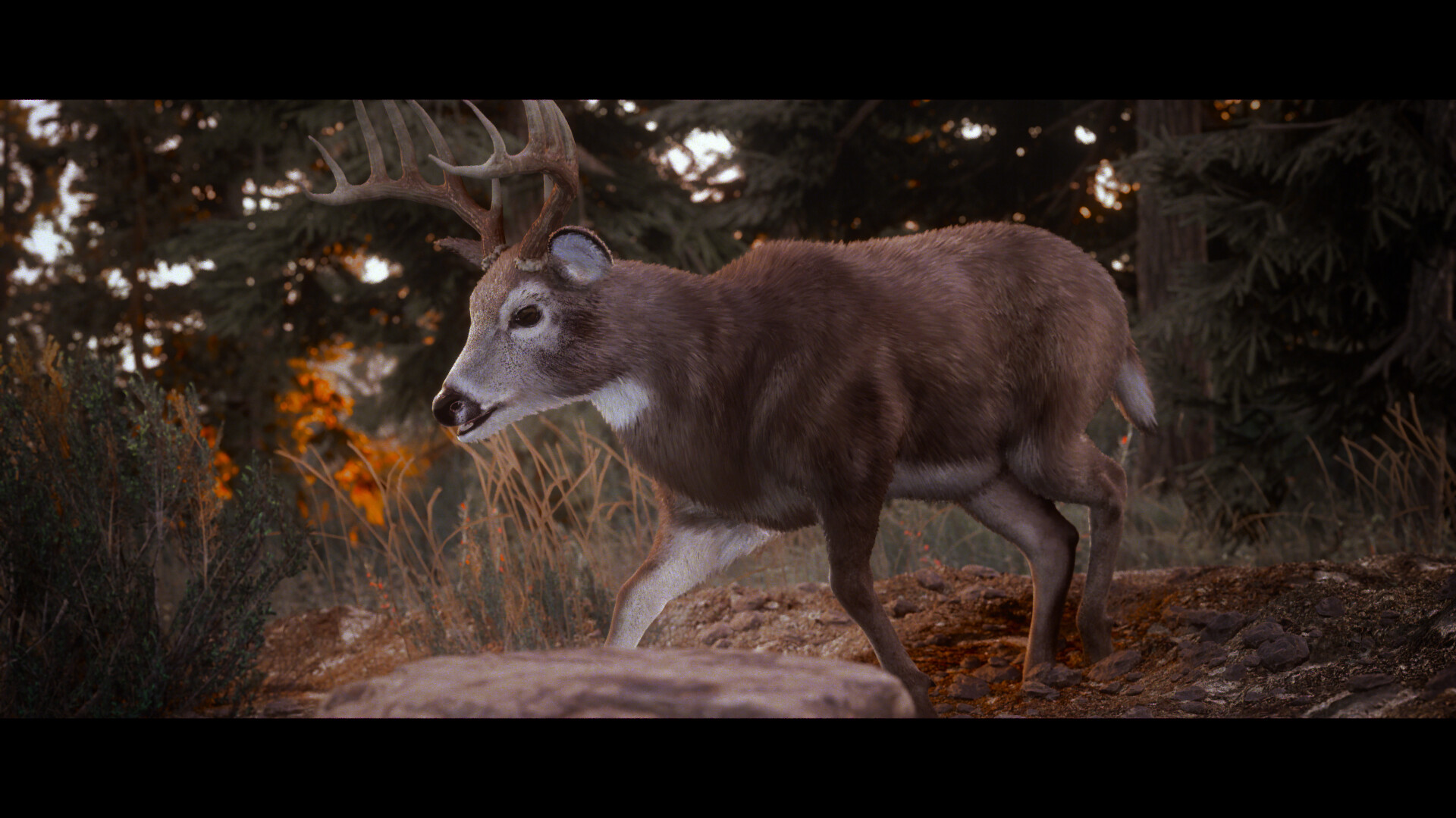 Hunting Simulator 3 #1