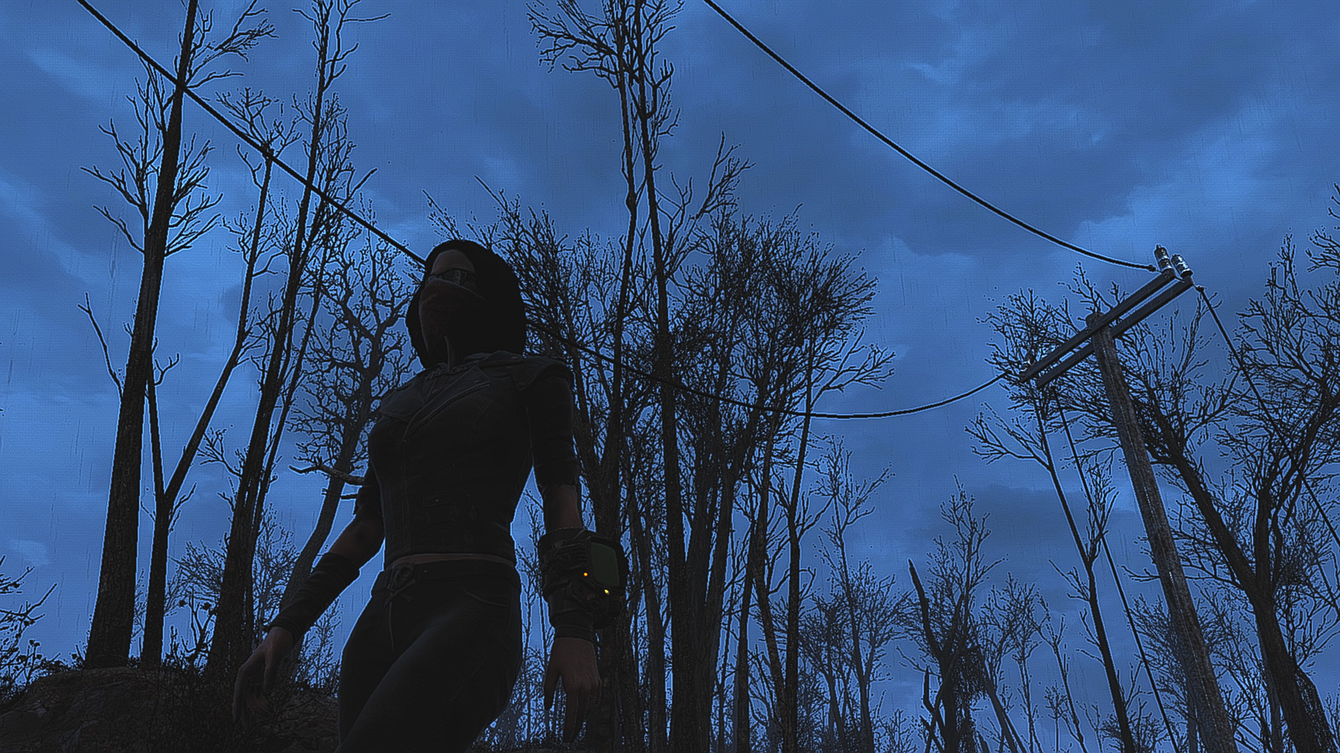 user-88167 blog gallery image