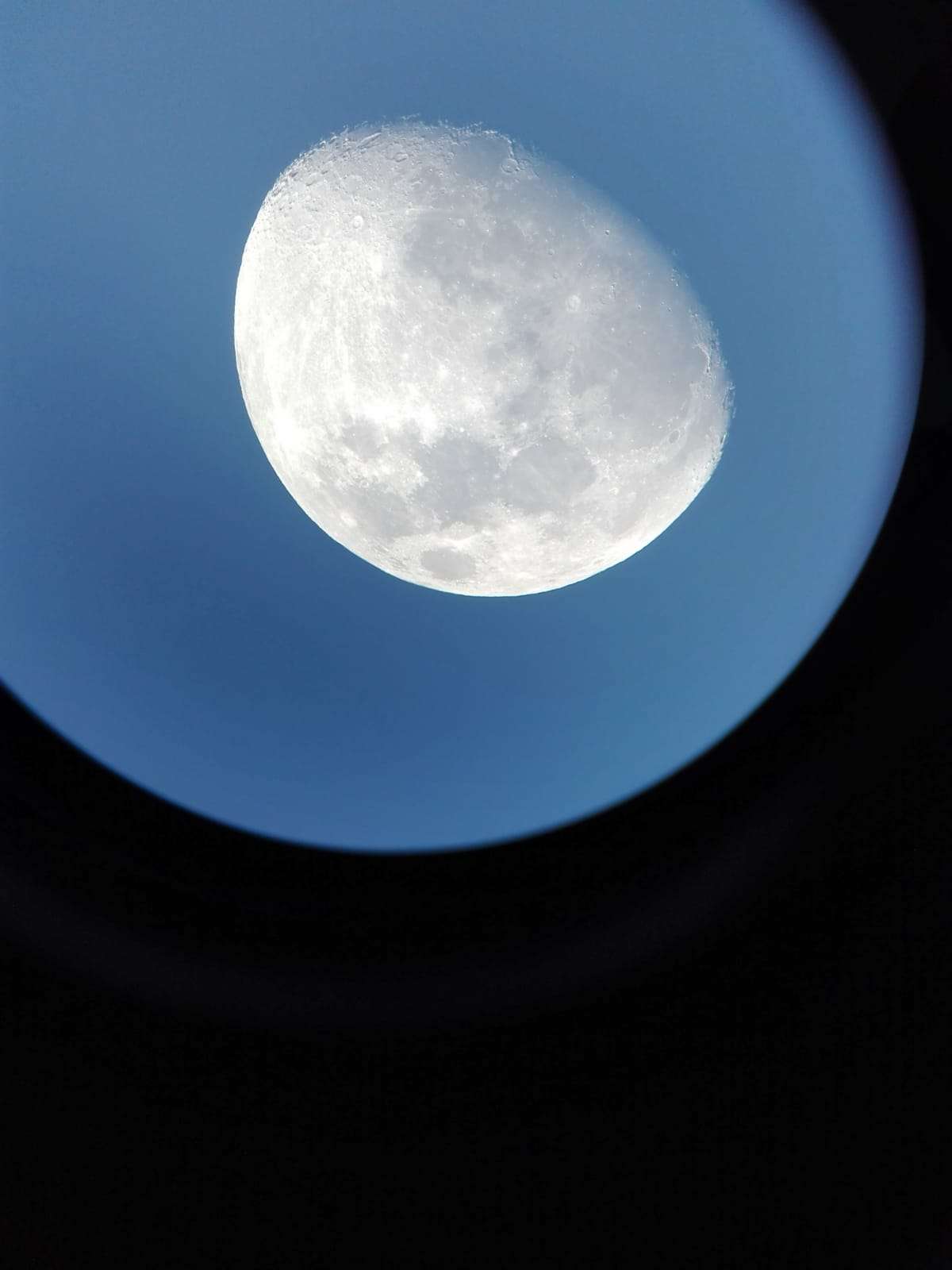 Do or Die Wrestling już 14 stycznia