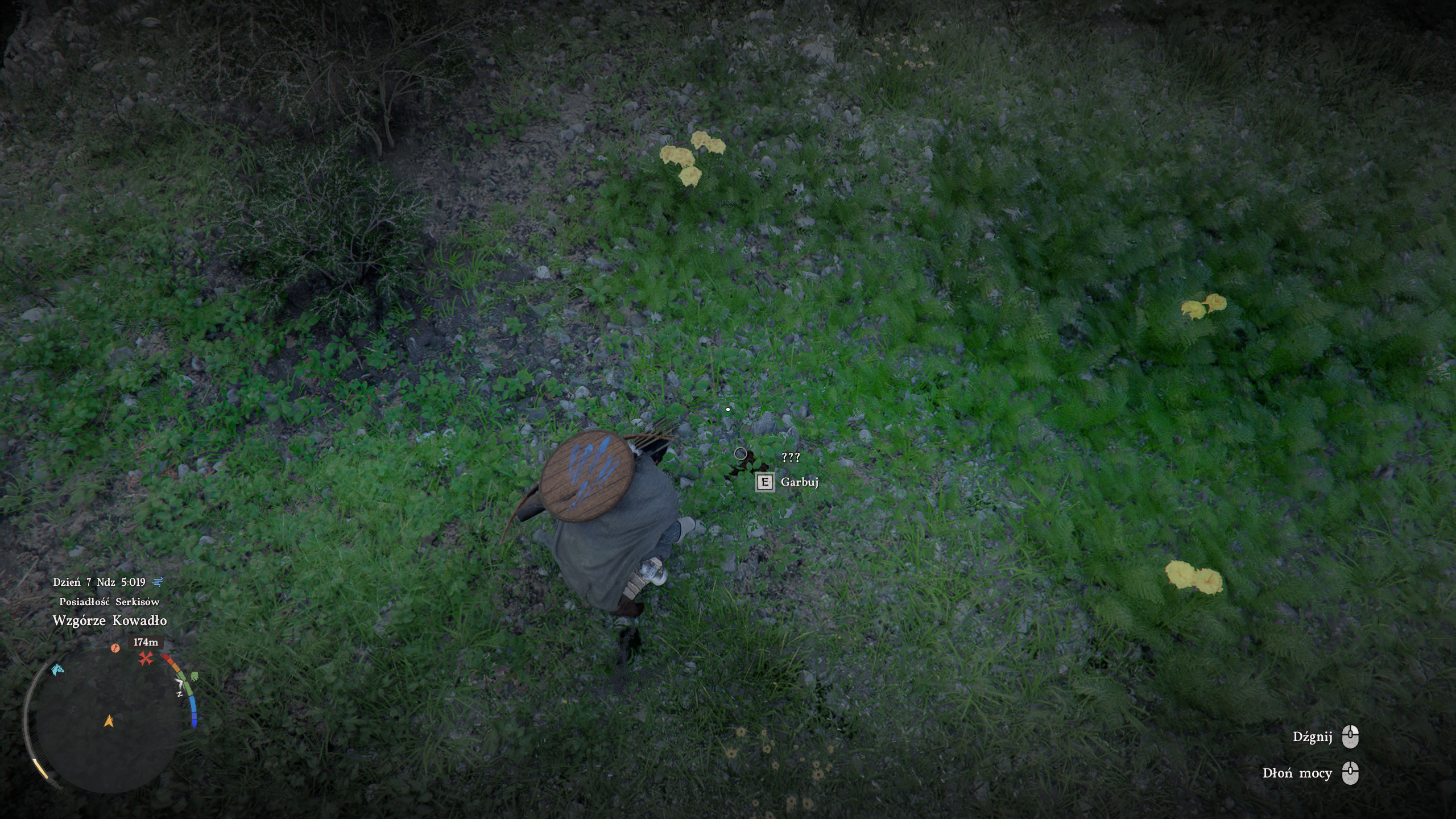 Crimson Desert - Skórowanie zwierząt, jak zabijać małe zwierzęta sztyletem, mięso, łapanie