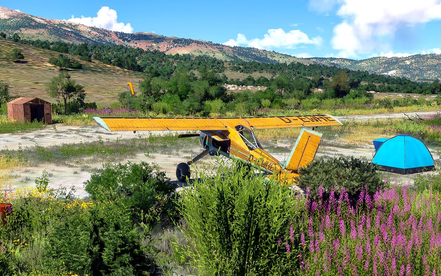 Oszuści wyrzuceni z Microsoft Flight Simulator 2020 i 2024. Czekaliśmy na to od lat