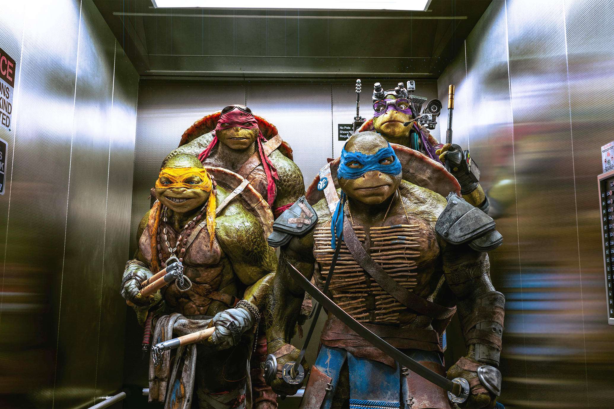 Żółwie Ninja znów trafią do kin. Nowy film Michaela Baya