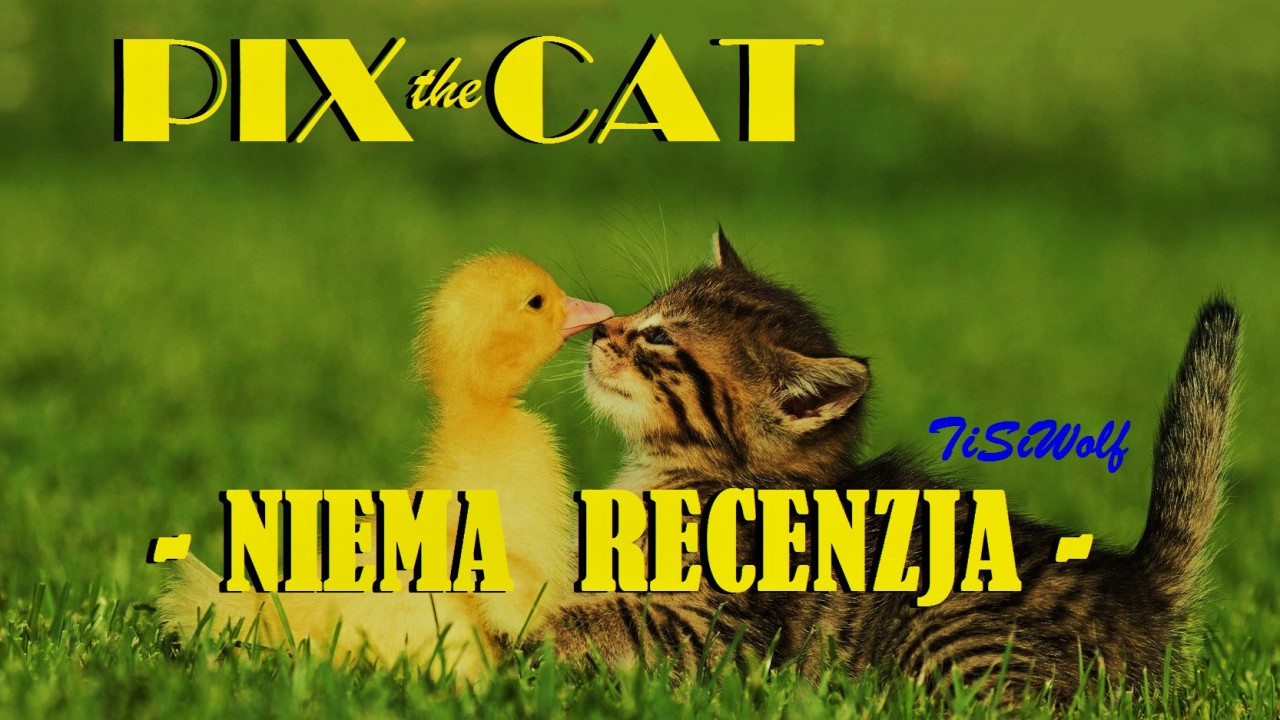 PIX the CAT - NIEMA RECENZJA -