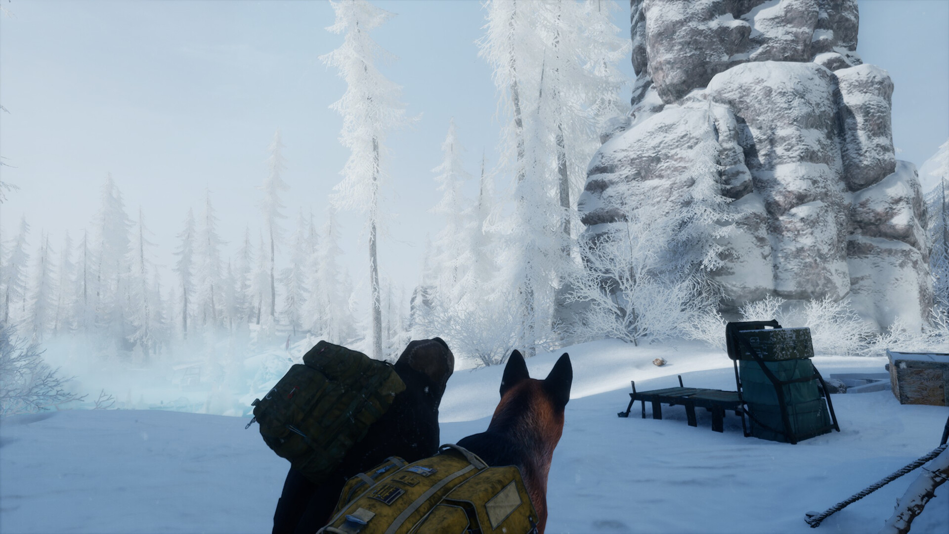 Permafrost #9