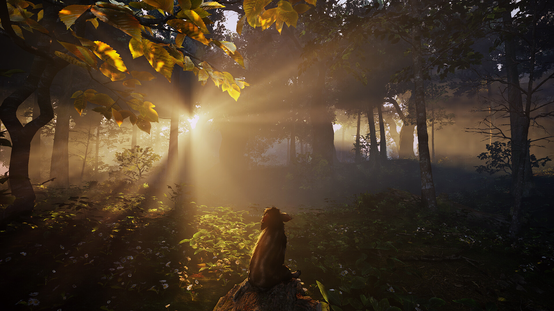 Adorable Adventures #10