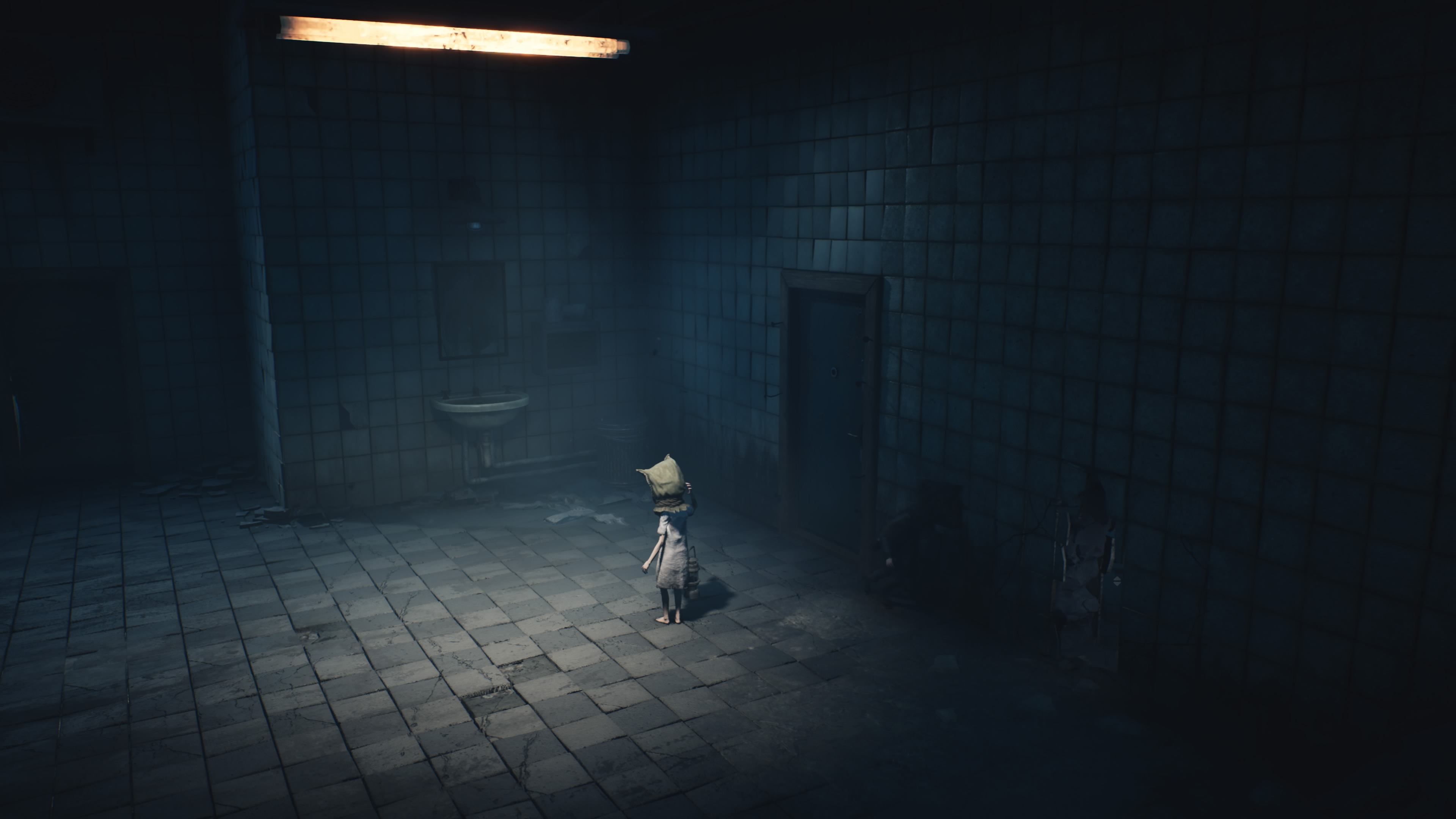 Reanimal - Akt 1: Jak trup w wodę, opis przejścia, znajdźki