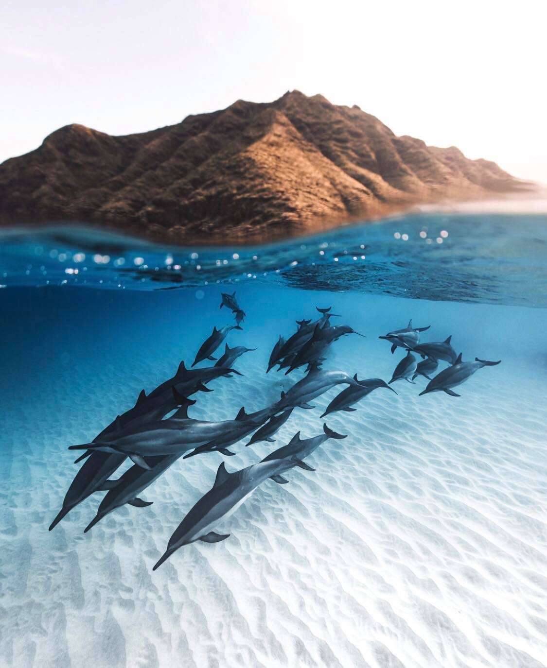 Square Enix na celowniku hakerów