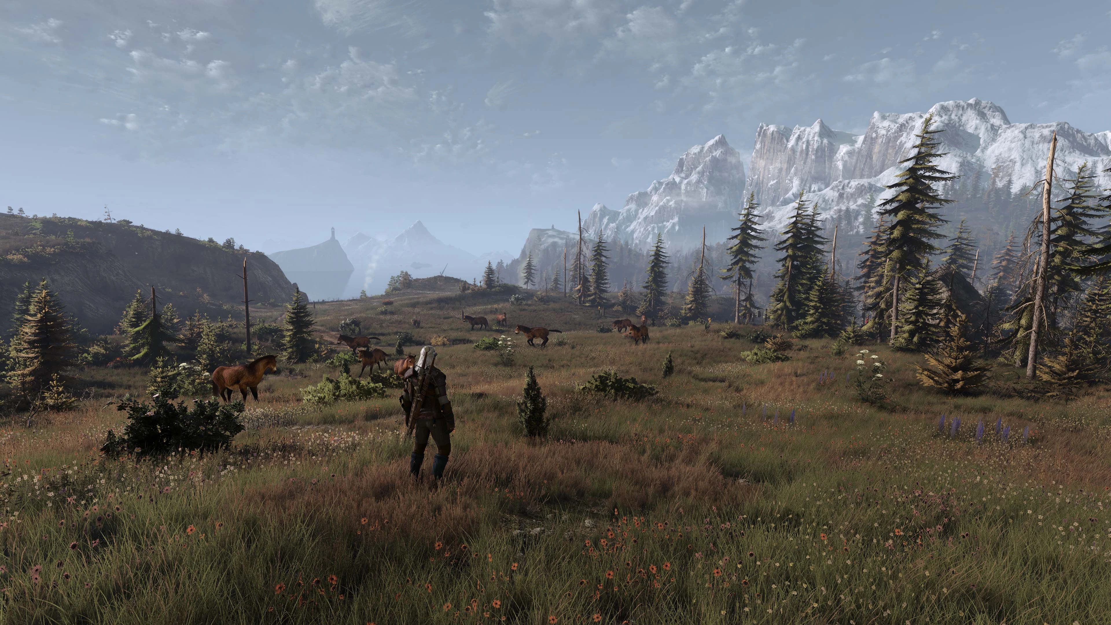 Wiedźmin 3 - modyfikacja #1