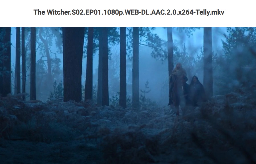 Wiedźmin 2 od Netflix już na pirackich stronach. Platforma ma gigantyczny problem