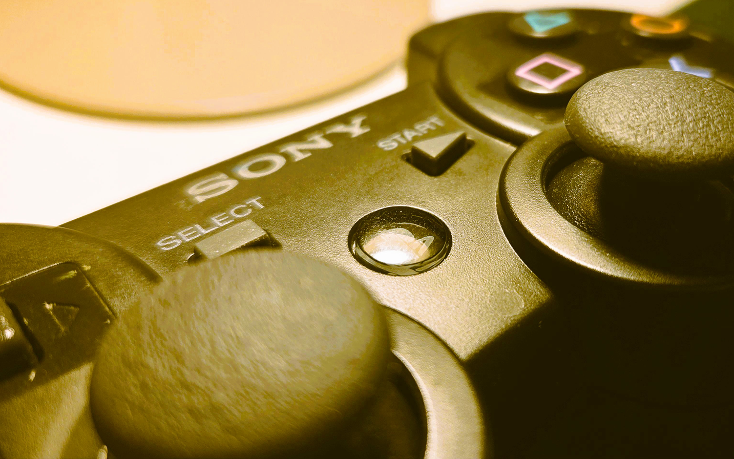 user-81250 main blog image