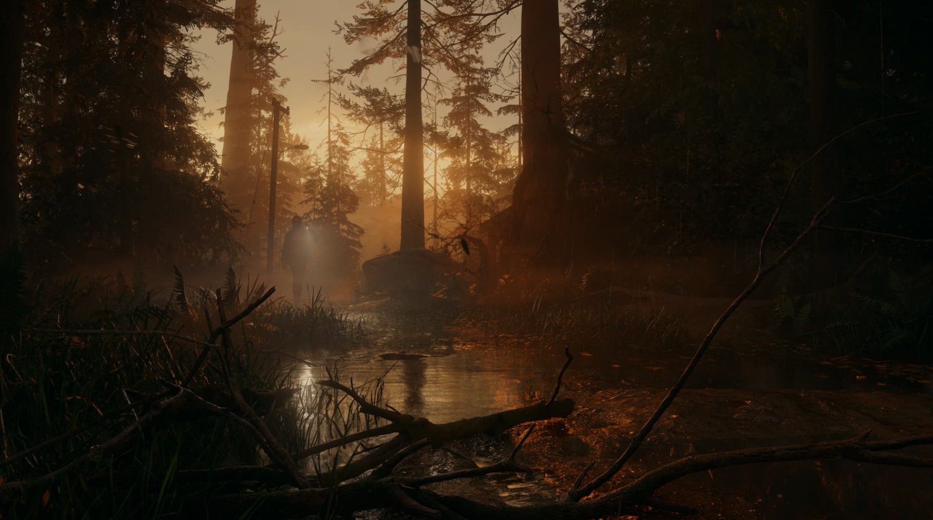 Alan Wake 2 #5