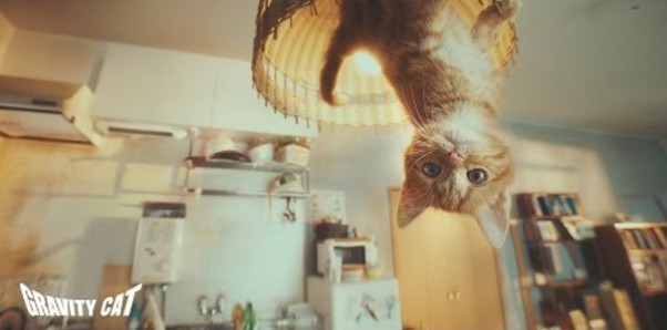 Gravity Rush 2. Oto jak zrobiono zwiastun live-action z kotkiem