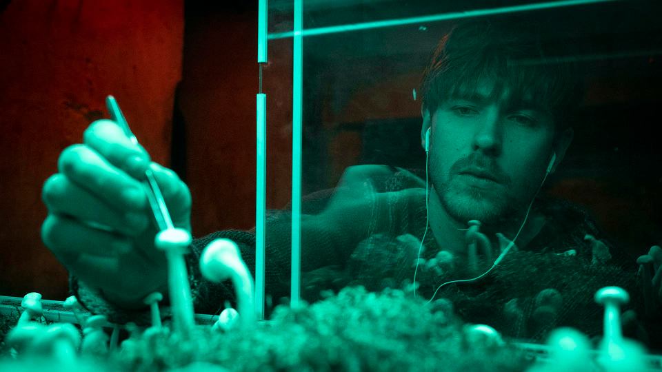 Krakowskie potwory - Netflix  #2